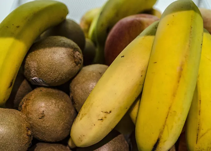 Contact Alize Montmartre Paříž